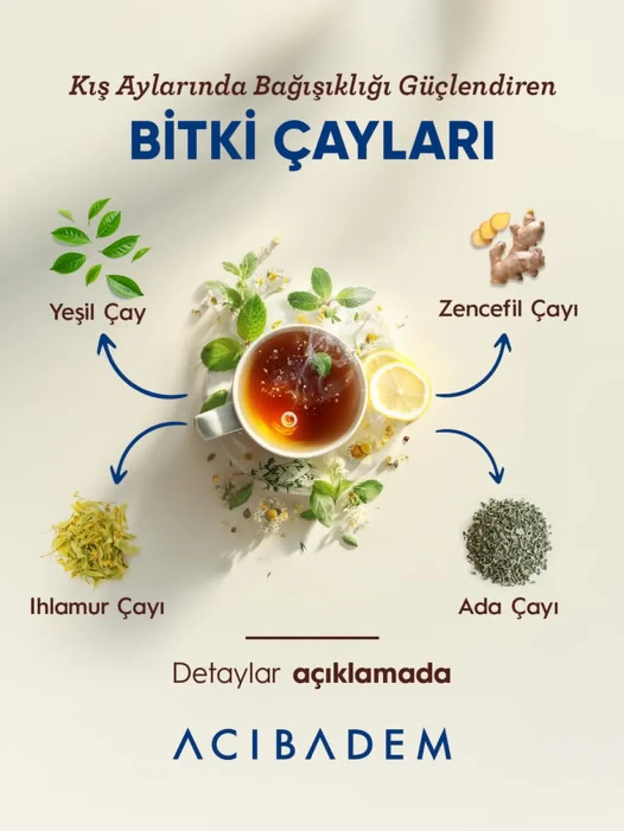Kış Hastalıklarına Karşı 5 Etkili Bitki Çayı İle Bağışıklığınızı Güçlendirin Kış Hastalıklarına Karşı 5 Etkili Bitki Çayı İle Bağışıklığınızı Güçlendirin