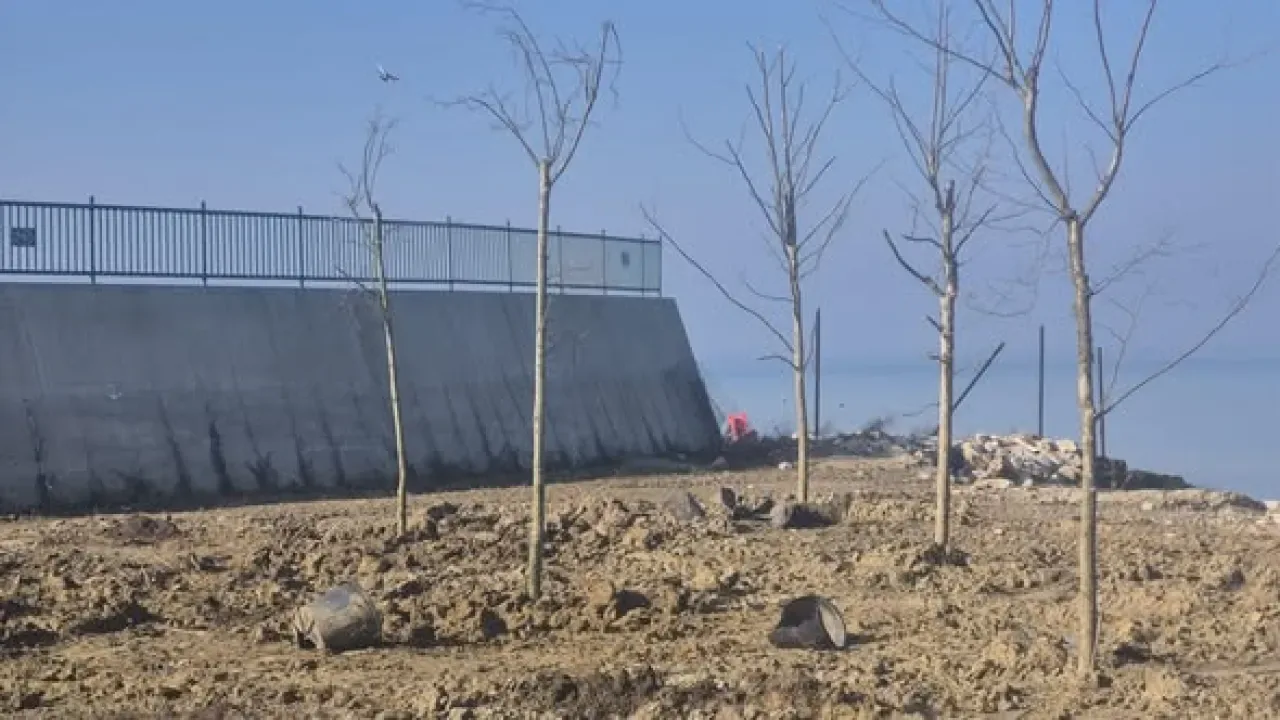 Türk Harb-İş Sendikası Yalova Tesislerinde Yeşil Dönüşüm Başlattı Türk Harb-İş Sendikası Yalova Tesislerinde Yeşil Dönüşüm Başlattı