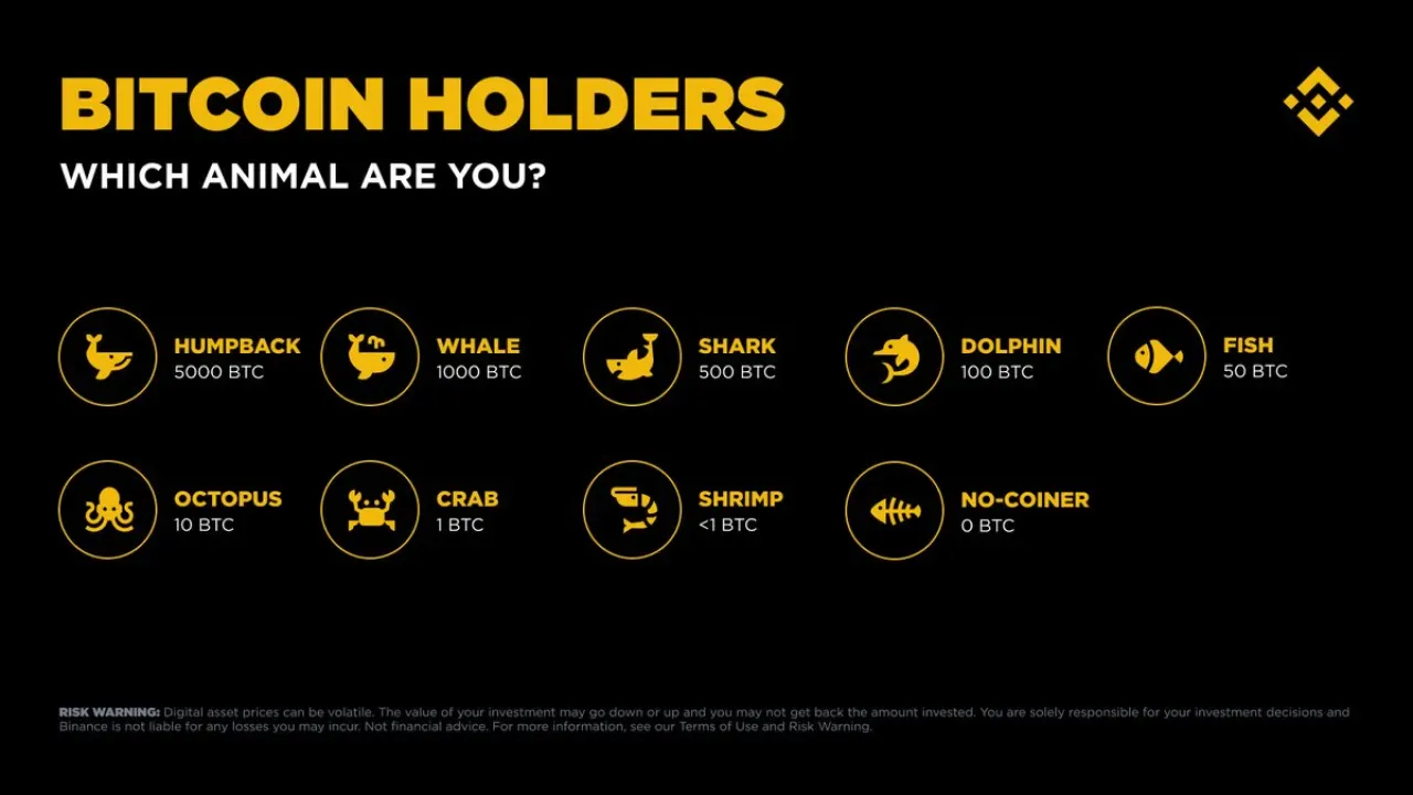 Binance Araştırması: Bitcoin Sahiplerinin Cüzdan Büyüklüklerine Göre Dağılımı Binance Araştırması: Bitcoin Sahiplerinin Cüzdan Büyüklüklerine Göre Dağılımı
