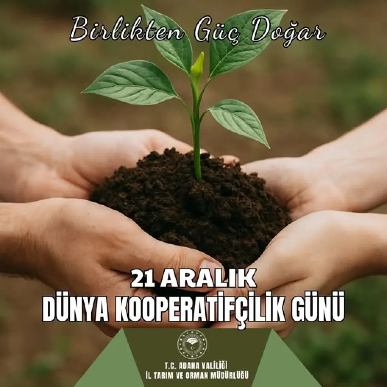 21 Aralık Dünya Kooperatifçilik Günü'nde Üreticiler Kutlandı 21 Aralık Dünya Kooperatifçilik Günü'nde Üreticiler Kutlandı