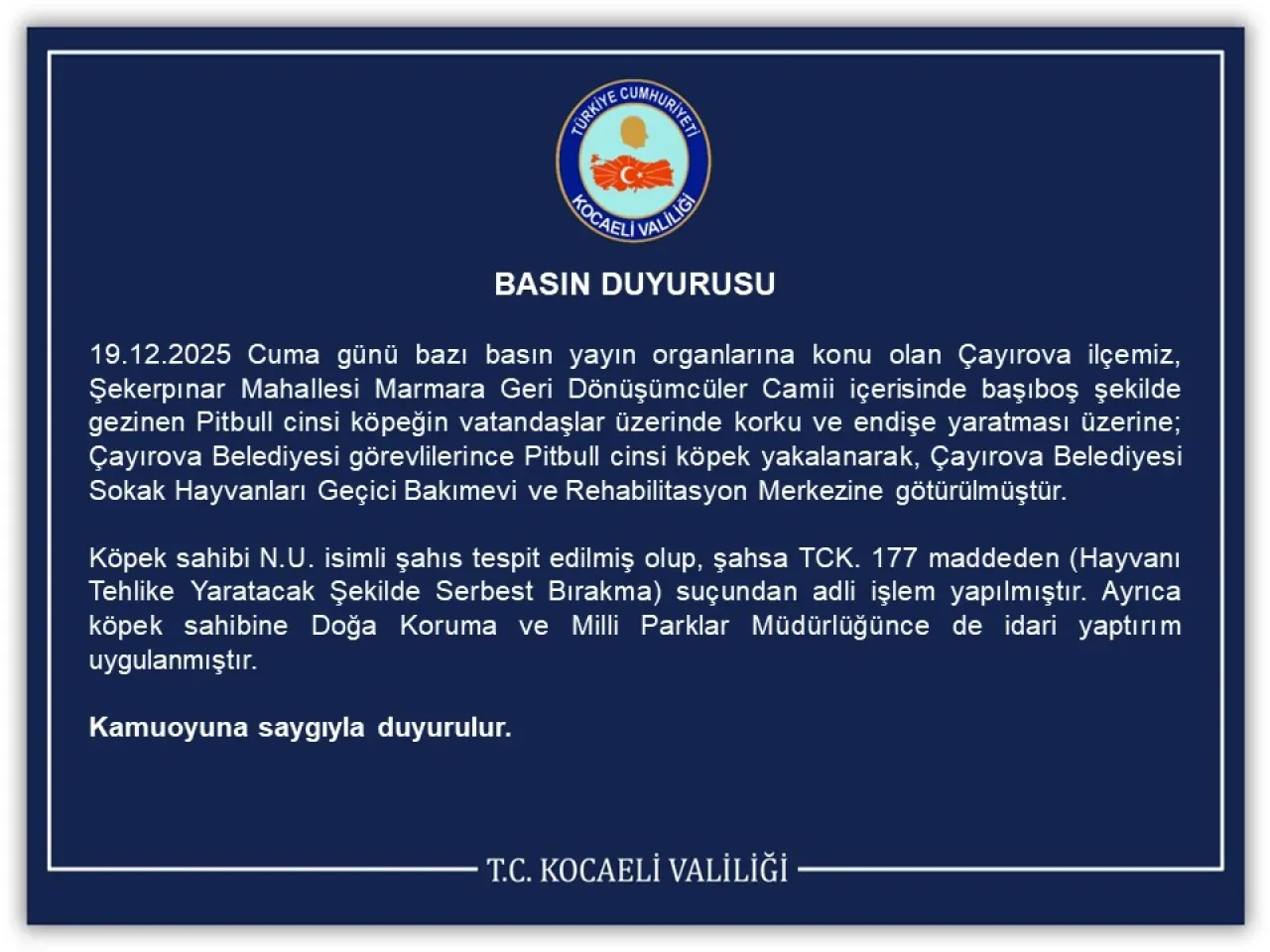 Kocaeli'de Camide Serbest Bırakılan Pitbull Yakalandı, Sahibine Ceza Kocaeli'de Camide Serbest Bırakılan Pitbull Yakalandı, Sahibine Ceza