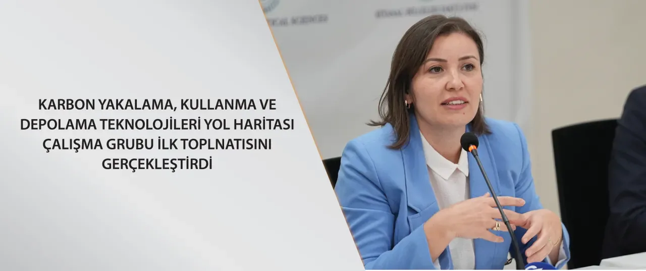 Sanat Stüdyosu Çalışanları, Karbon Nötr Hedefi İçin Çalışma Grubu Kurdu Sanat Stüdyosu Çalışanları, Karbon Nötr Hedefi İçin Çalışma Grubu Kurdu