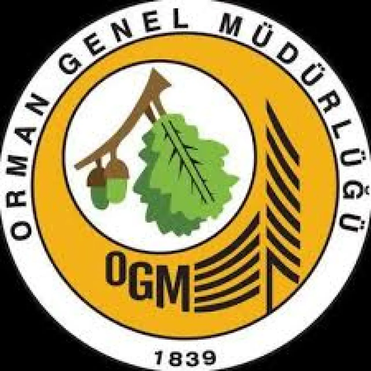 Adana Orman Bölge Müdürü Tahsin Etli, Dezenformasyonla Mücadele Programına Katıldı Adana Orman Bölge Müdürü Tahsin Etli, Dezenformasyonla Mücadele Programına Katıldı