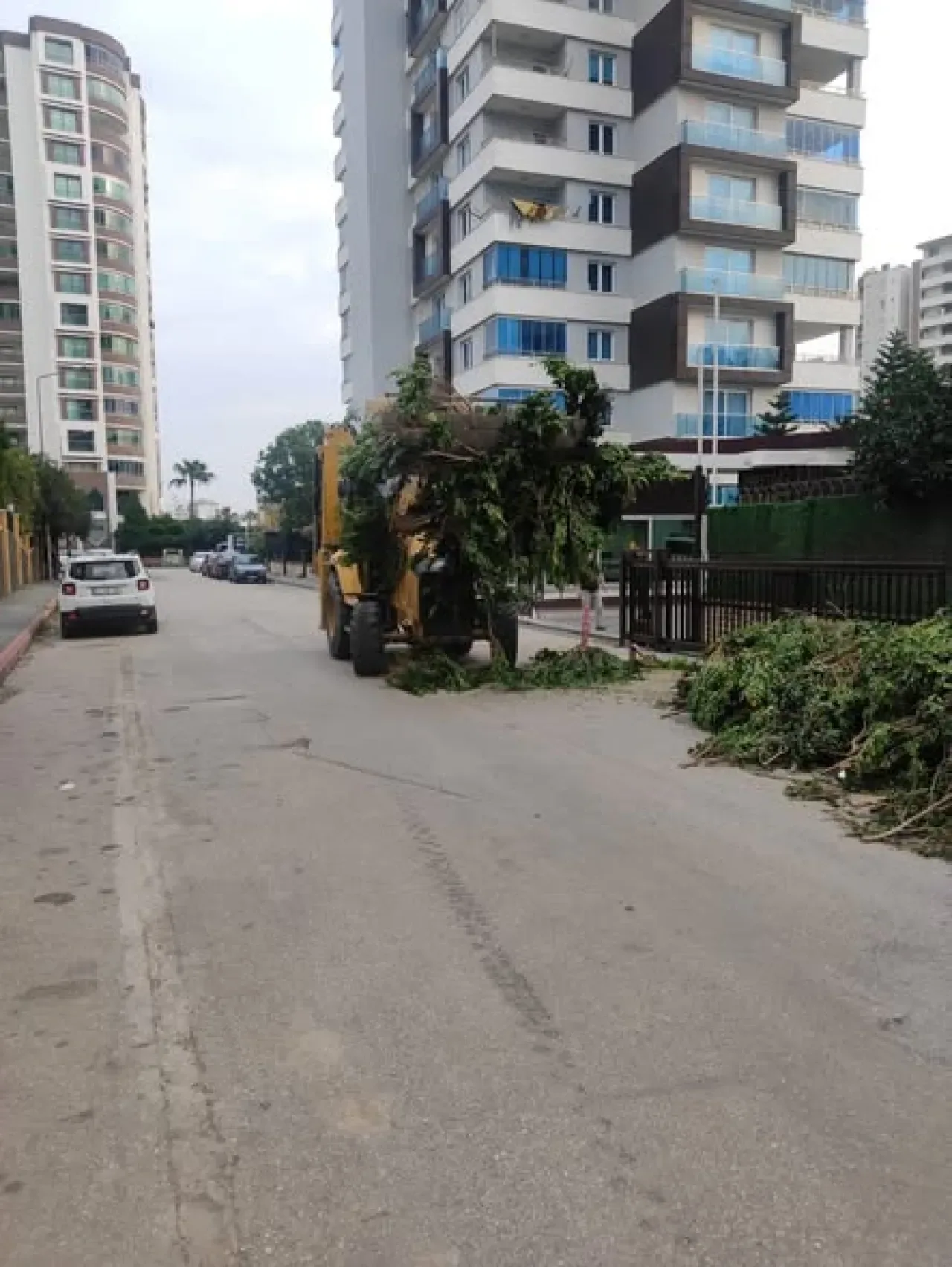 Çöp Yığını Seyhan Belediyesi Ekiplerince Temizlendi Çöp Yığını Seyhan Belediyesi Ekiplerince Temizlendi
