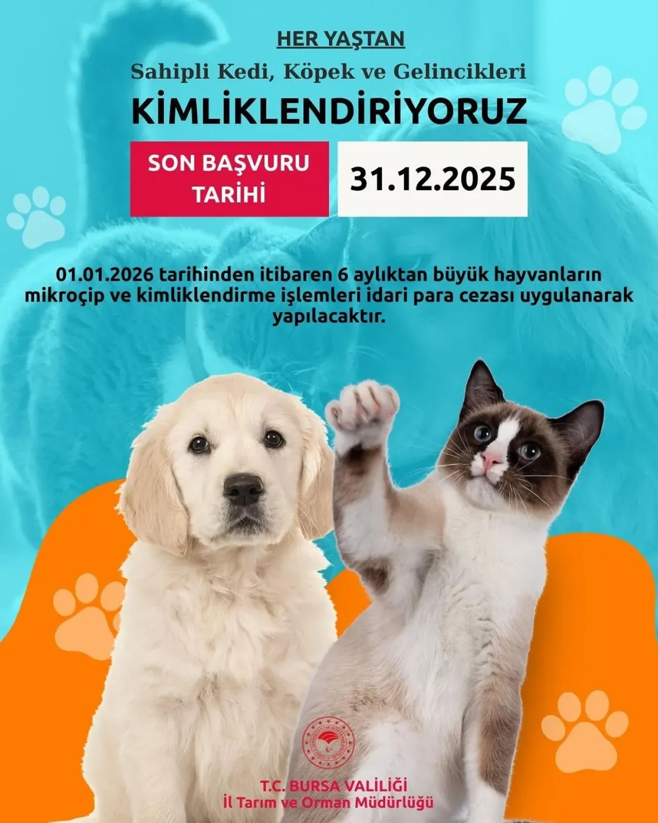 Bursa'da Evcil Hayvanlar İçin Kimlik ve Kayıt İşlemleri Nerede Yapılır? Bursa'da Evcil Hayvanlar İçin Kimlik ve Kayıt İşlemleri Nerede Yapılır?