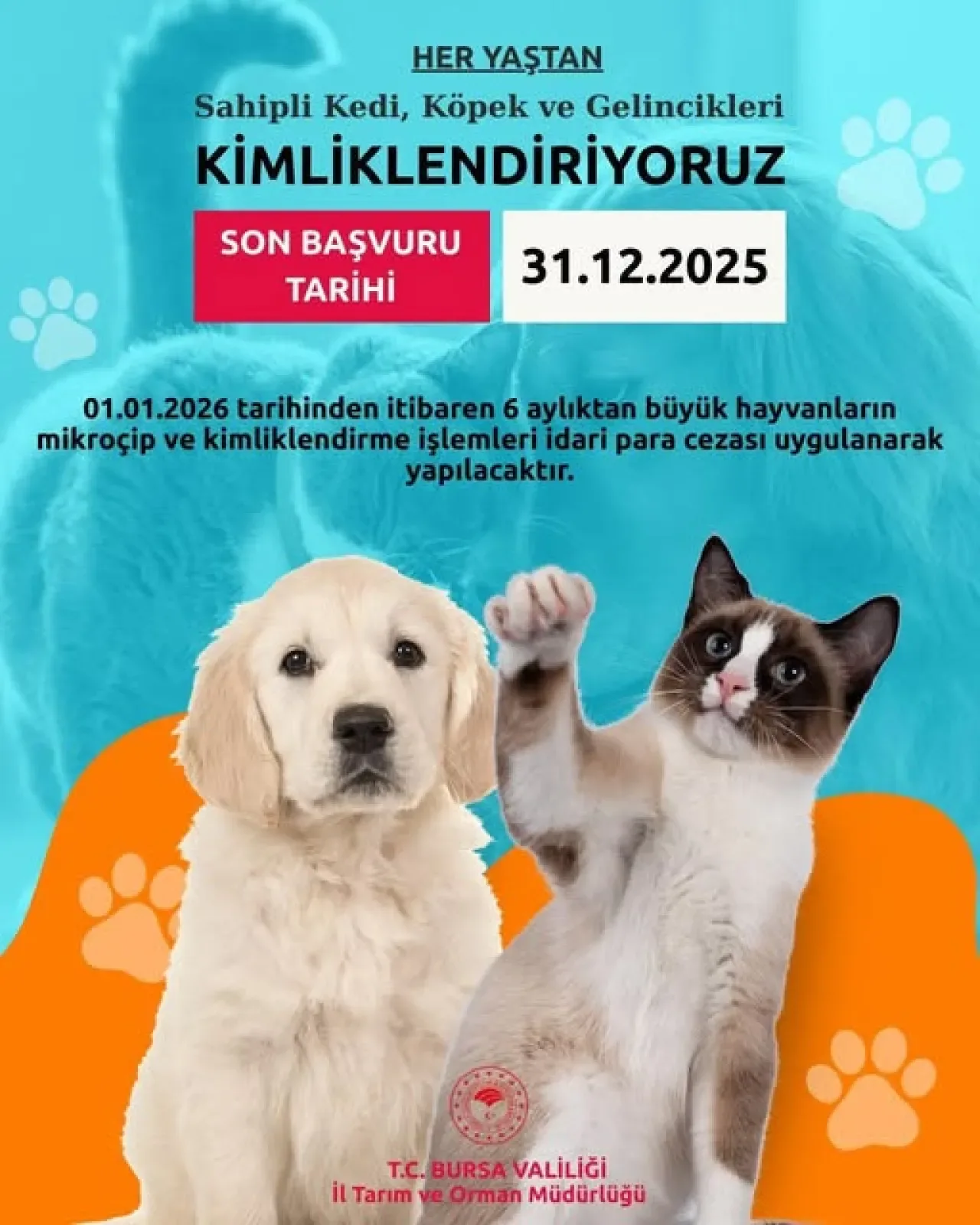 Evcil Hayvanınızın Çip İşlemi İçin Yetkili Merkezler Açıklandı Evcil Hayvanınızın Çip İşlemi İçin Yetkili Merkezler Açıklandı