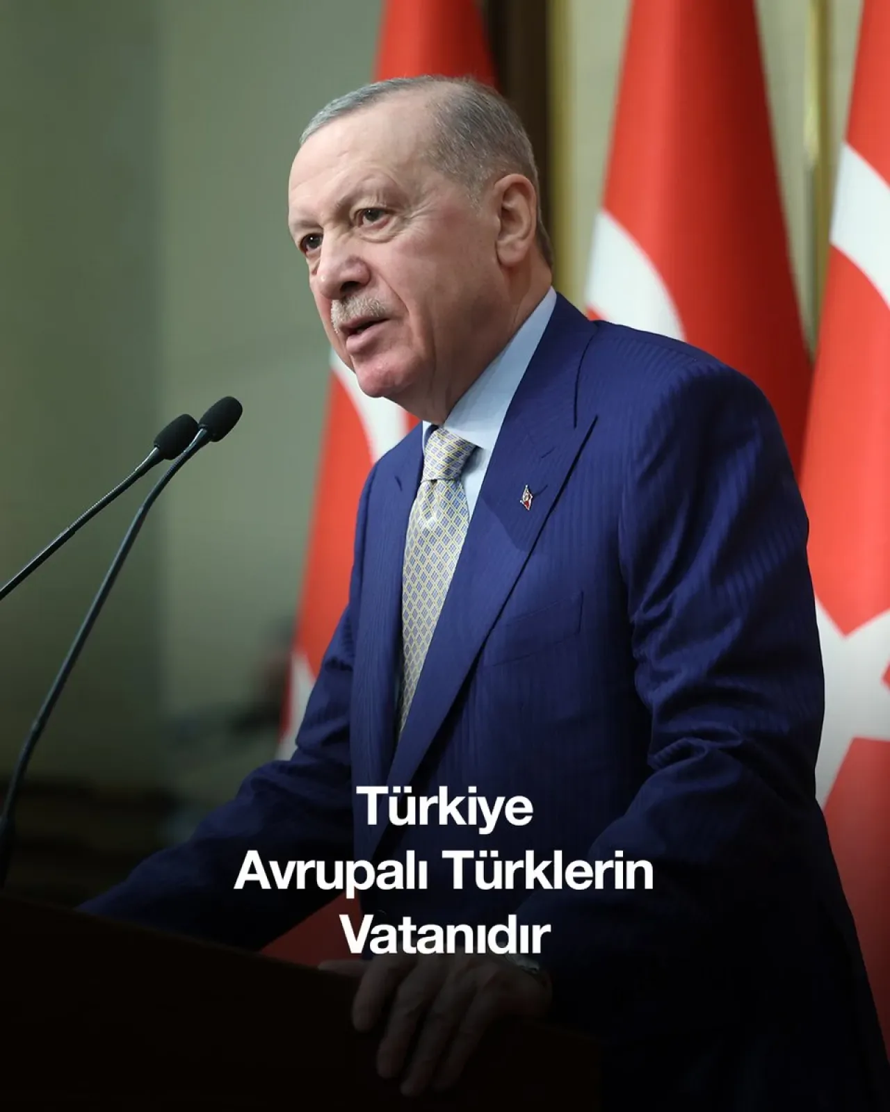 Avrupalı Türkler Vatanın Öz Evlatları Olarak Tanımlandı Avrupalı Türkler Vatanın Öz Evlatları Olarak Tanımlandı