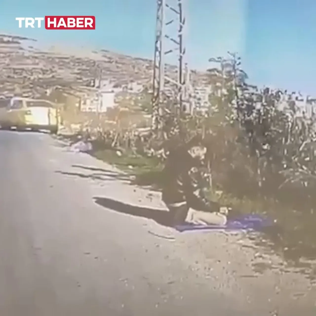 Batı Şeria'da Yol Kenarında Namaz Kılan Filistinliye Kasıtlı Çarpma Batı Şeria'da Yol Kenarında Namaz Kılan Filistinliye Kasıtlı Çarpma