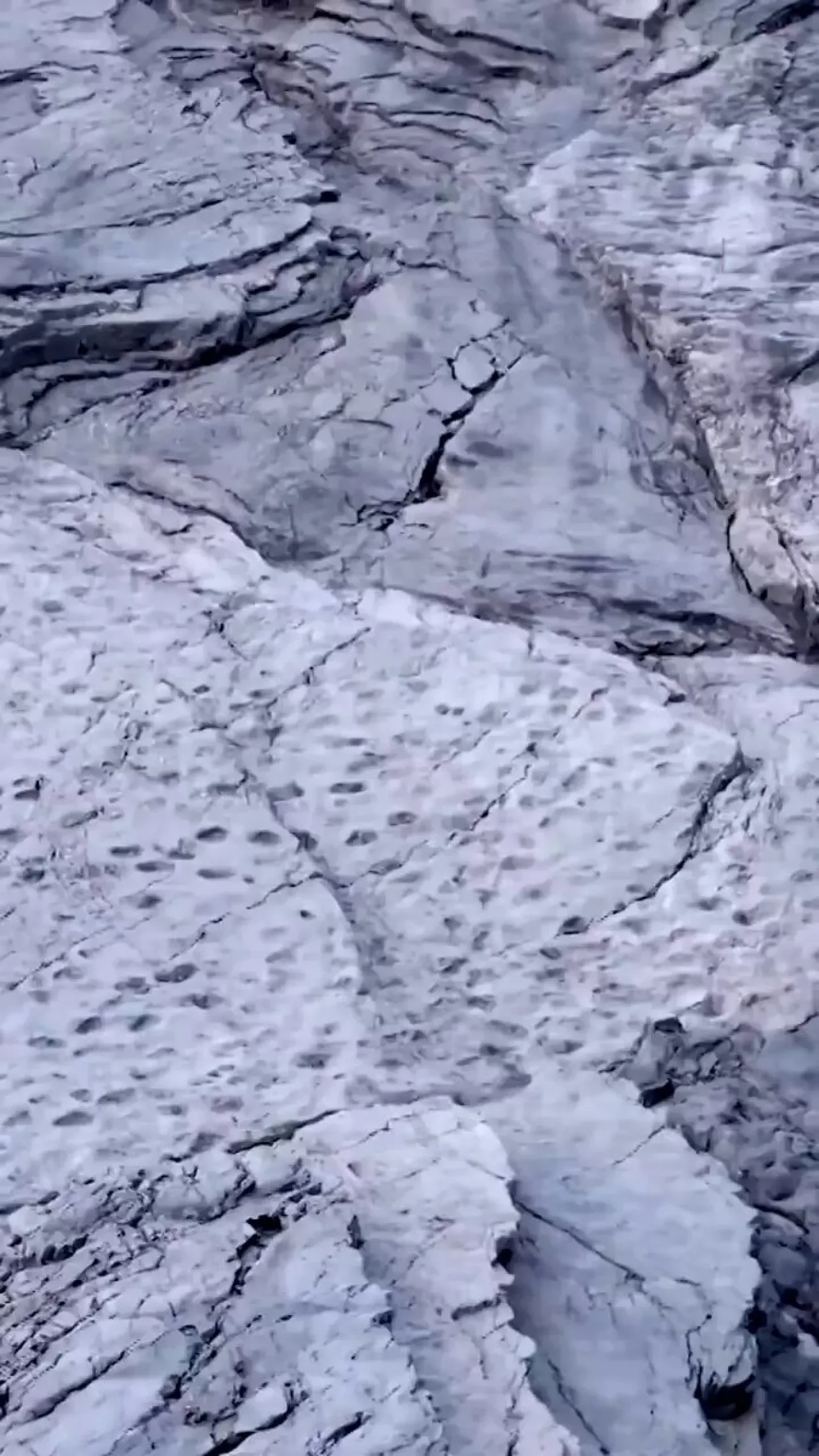 İtalya'nın Dağlarında 200 Milyon Yıllık Dinozor Ayak İzleri Keşfedildi İtalya'nın Dağlarında 200 Milyon Yıllık Dinozor Ayak İzleri Keşfedildi