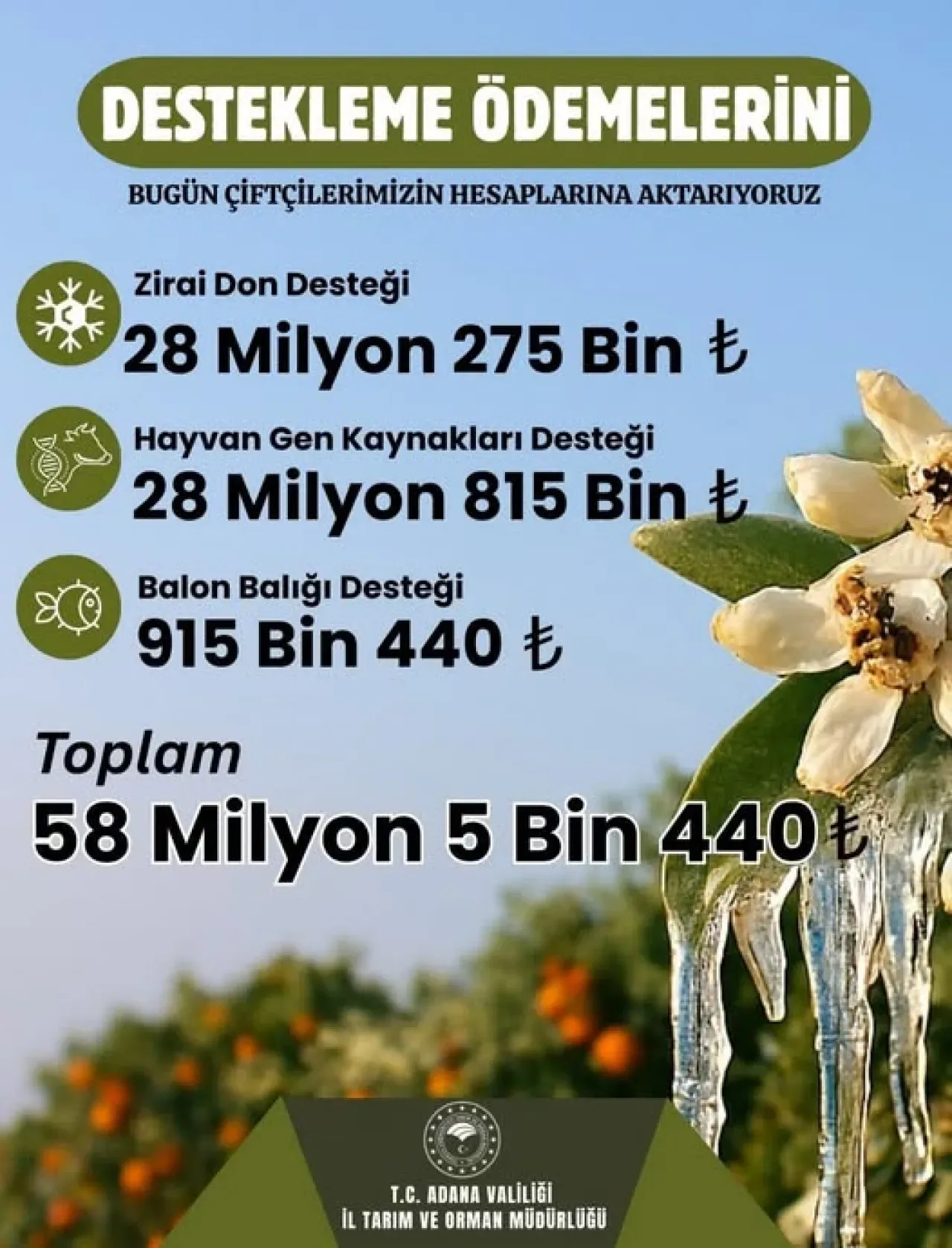 Adana'da Üreticiye 58 Milyon Lira Tarım Desteği Adana'da Üreticiye 58 Milyon Lira Tarım Desteği