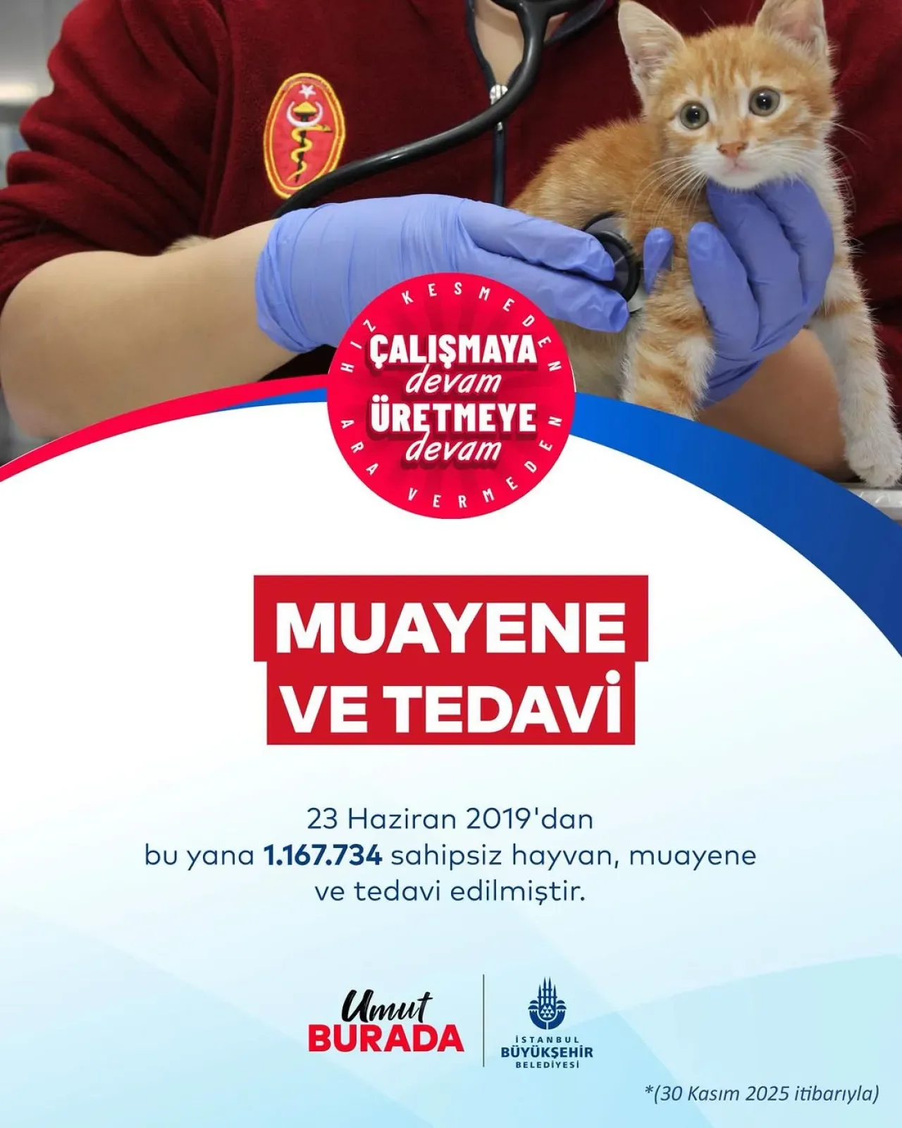 İBB Veteriner Hizmetleri, 4 Yılda 1 Milyondan Fazla Canlıya Şefkatle Dokundu İBB Veteriner Hizmetleri, 4 Yılda 1 Milyondan Fazla Canlıya Şefkatle Dokundu