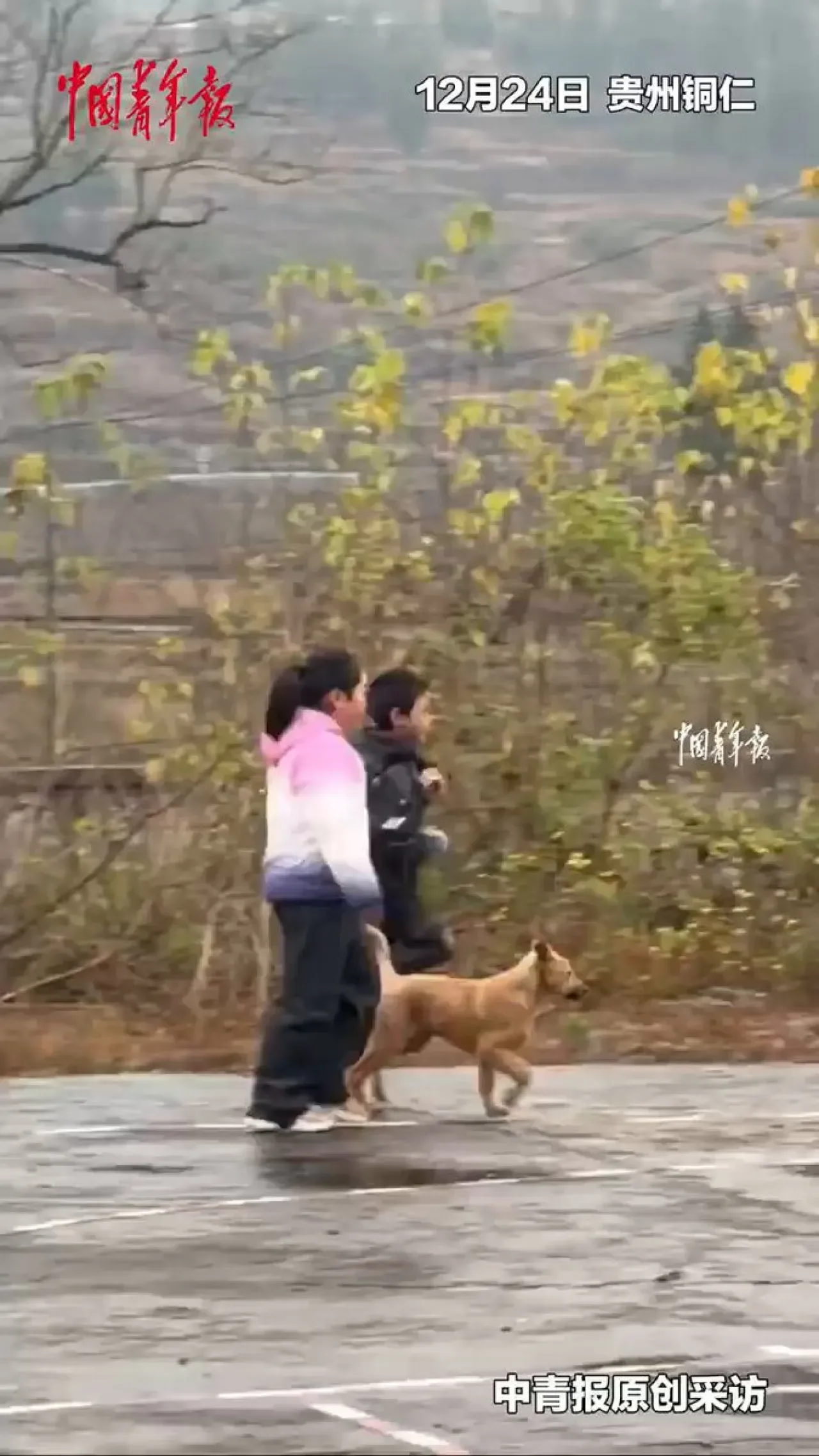 Okula Giden Sahibinin Peşinden Ayrılmayan Yavru Köpek, Sabah Sporunda Sevimli Çılgınlık Yaptı Okula Giden Sahibinin Peşinden Ayrılmayan Yavru Köpek, Sabah Sporunda Sevimli Çılgınlık Yaptı