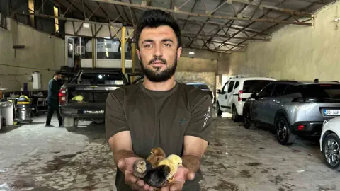 Yüksekova'da Oto Yıkamacıdan Girişimcilik Hamlesi: Kendi Kuluçka Makinesini Yaptı