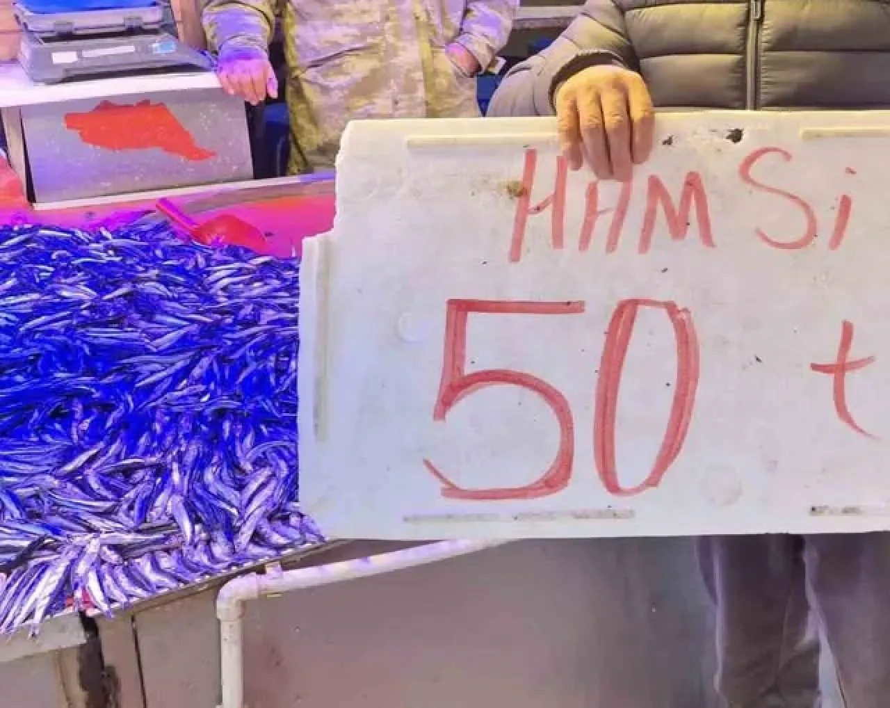 Ramazan Bereketi: Eskişehir'de Balıkçılar Hamsiyi 50 Liraya İndirdi Ramazan Bereketi: Eskişehir'de Balıkçılar Hamsiyi 50 Liraya İndirdi