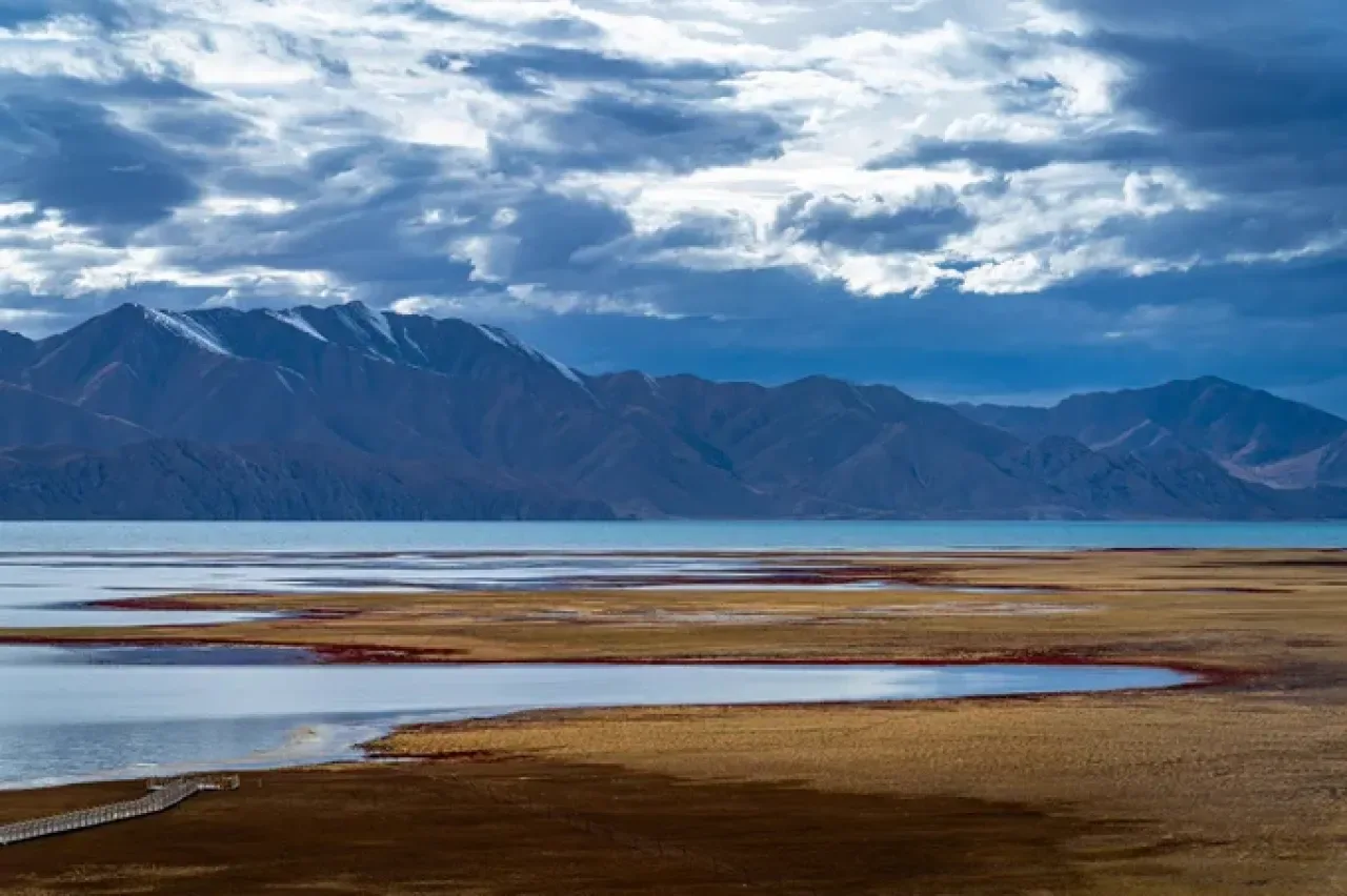 Çin'in Qinghai Eyaleti, Tibet Platosu'nda Ekolojik Restorasyonla Nesli Tükenmekte Olan Türleri Kurtarıyor Çin'in Qinghai Eyaleti, Tibet Platosu'nda Ekolojik Restorasyonla Nesli Tükenmekte Olan Türleri Kurtarıyor