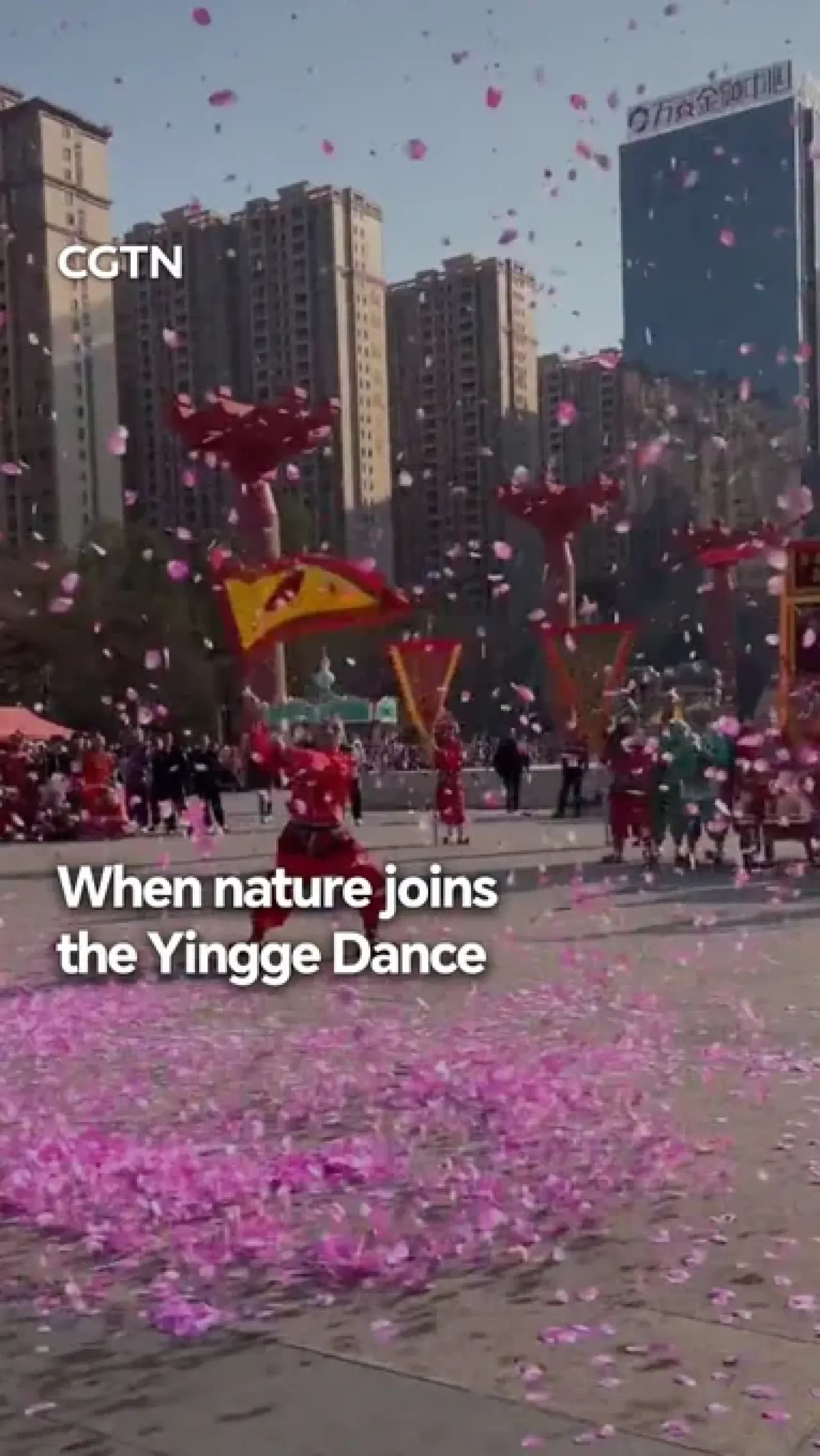 Doğa Çin'in Geleneksel Dansına Eşlik Etti: Yingge Dansçılarını Çiçek Yağmuru Sardı Doğa Çin'in Geleneksel Dansına Eşlik Etti: Yingge Dansçılarını Çiçek Yağmuru Sardı