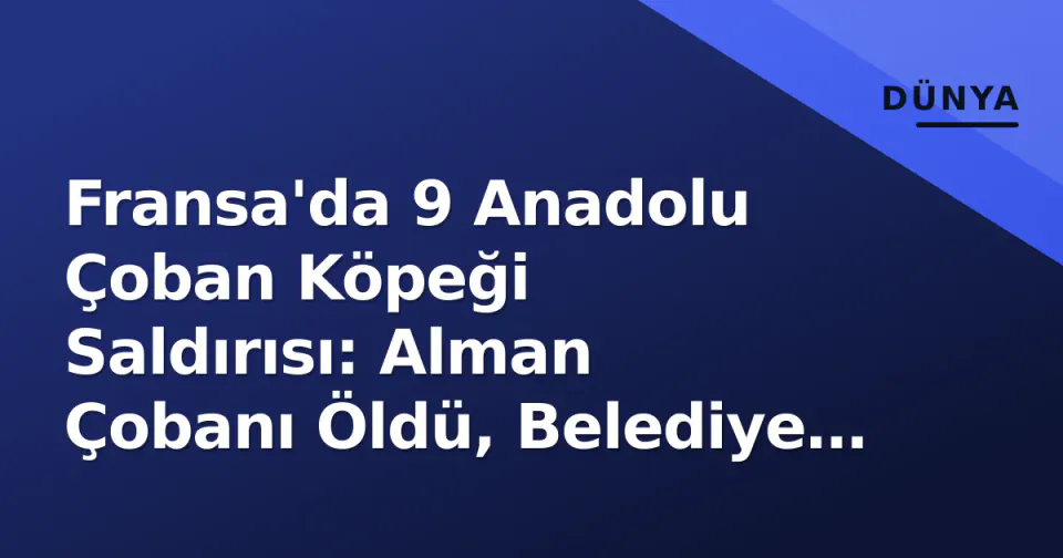 Fransa'da 9 Anadolu Çoban Köpeği Saldırısı: Alman Çobanı Öldü, Belediye Müdahale Etti görseli