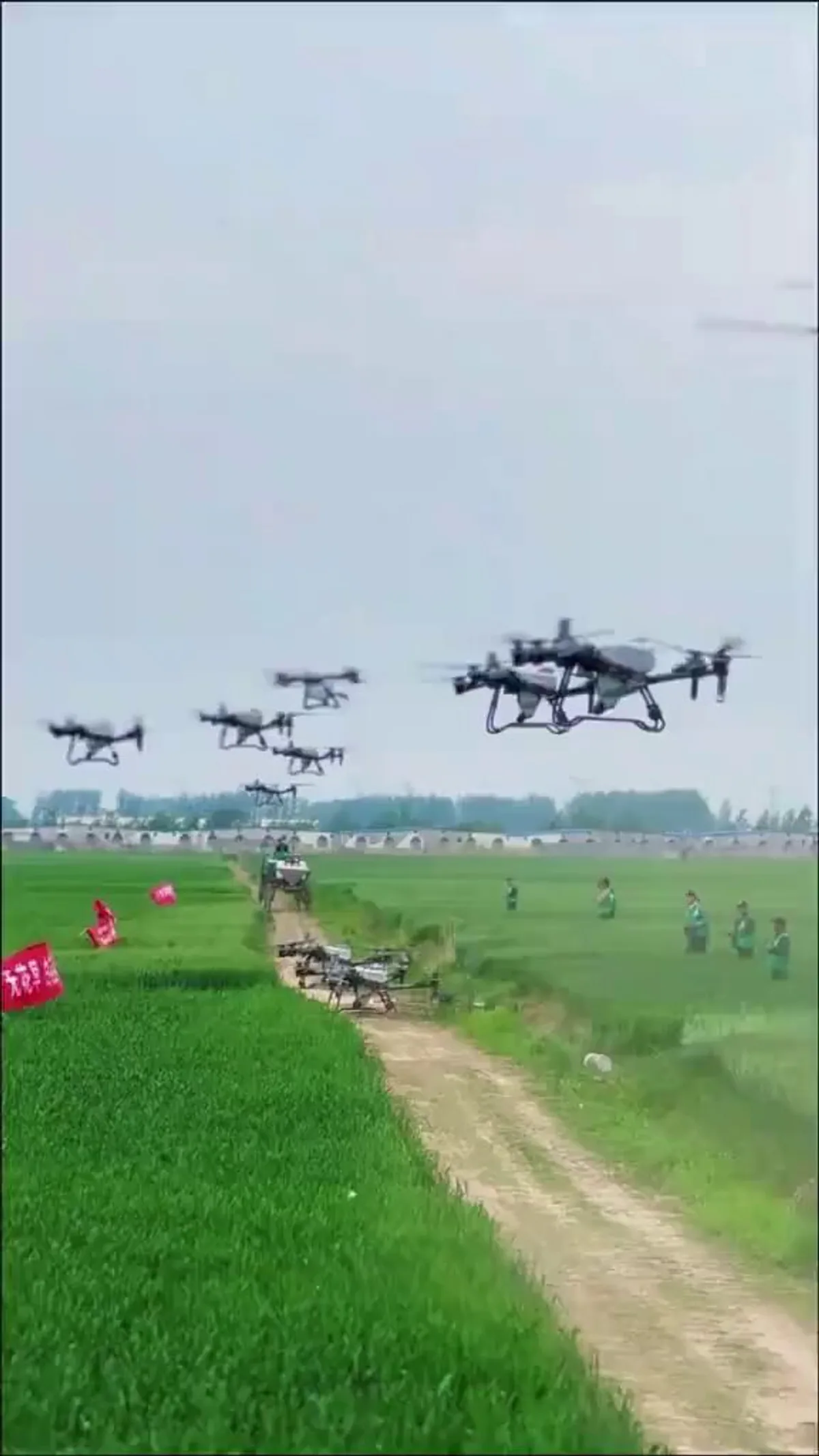 Çin'de Tarım Devrimi: Yeni Nesil Drone'lar Verimliliği Nasıl Artırıyor? Çin'de Tarım Devrimi: Yeni Nesil Drone'lar Verimliliği Nasıl Artırıyor?