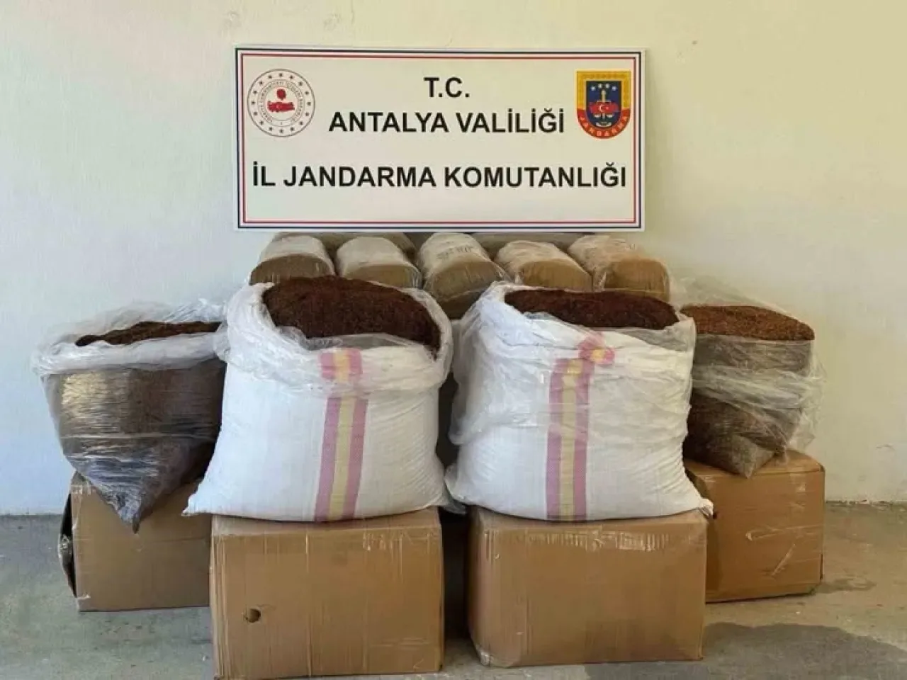 Gazipaşa'da Otobüs İçinde 500 Kilogram Kaçak Tütün Yakalandı Gazipaşa'da Otobüs İçinde 500 Kilogram Kaçak Tütün Yakalandı
