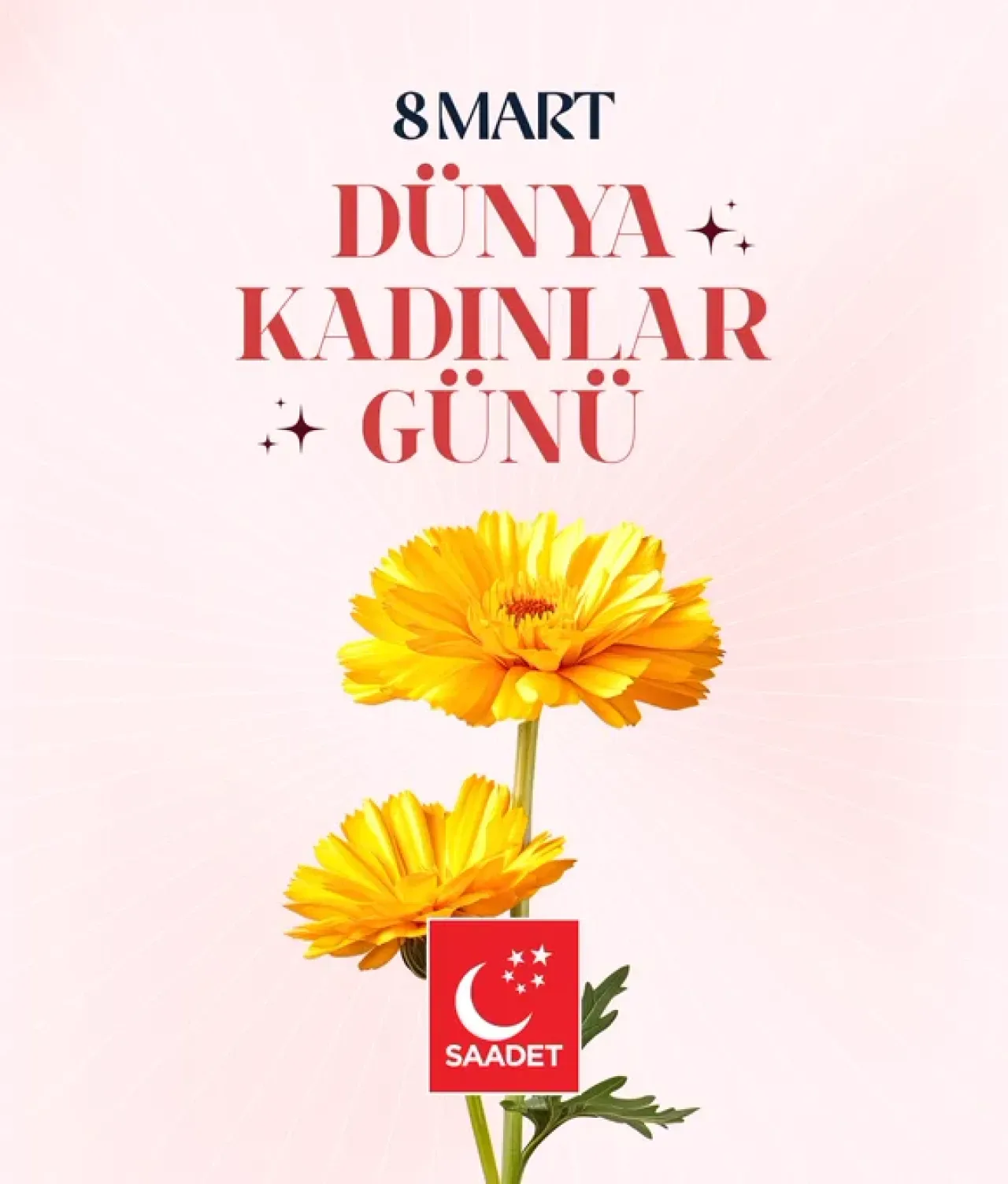 Saadet Partisi'nden 8 Mart Mesajı: "Kadınlar Toplumun Temel Direğidir" Saadet Partisi'nden 8 Mart Mesajı: "Kadınlar Toplumun Temel Direğidir"