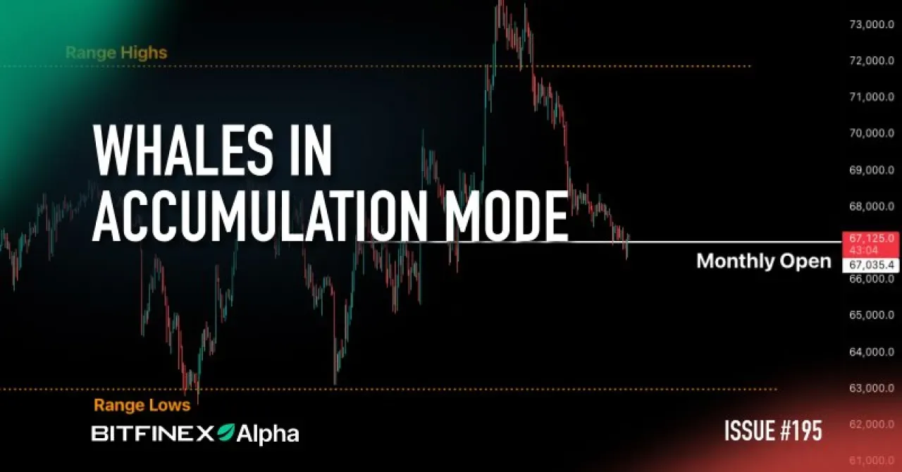Bitfinex Alpha Raporu: Kripto Piyasaları İçin Analiz Kaynağı Bitfinex Alpha Raporu: Kripto Piyasaları İçin Analiz Kaynağı