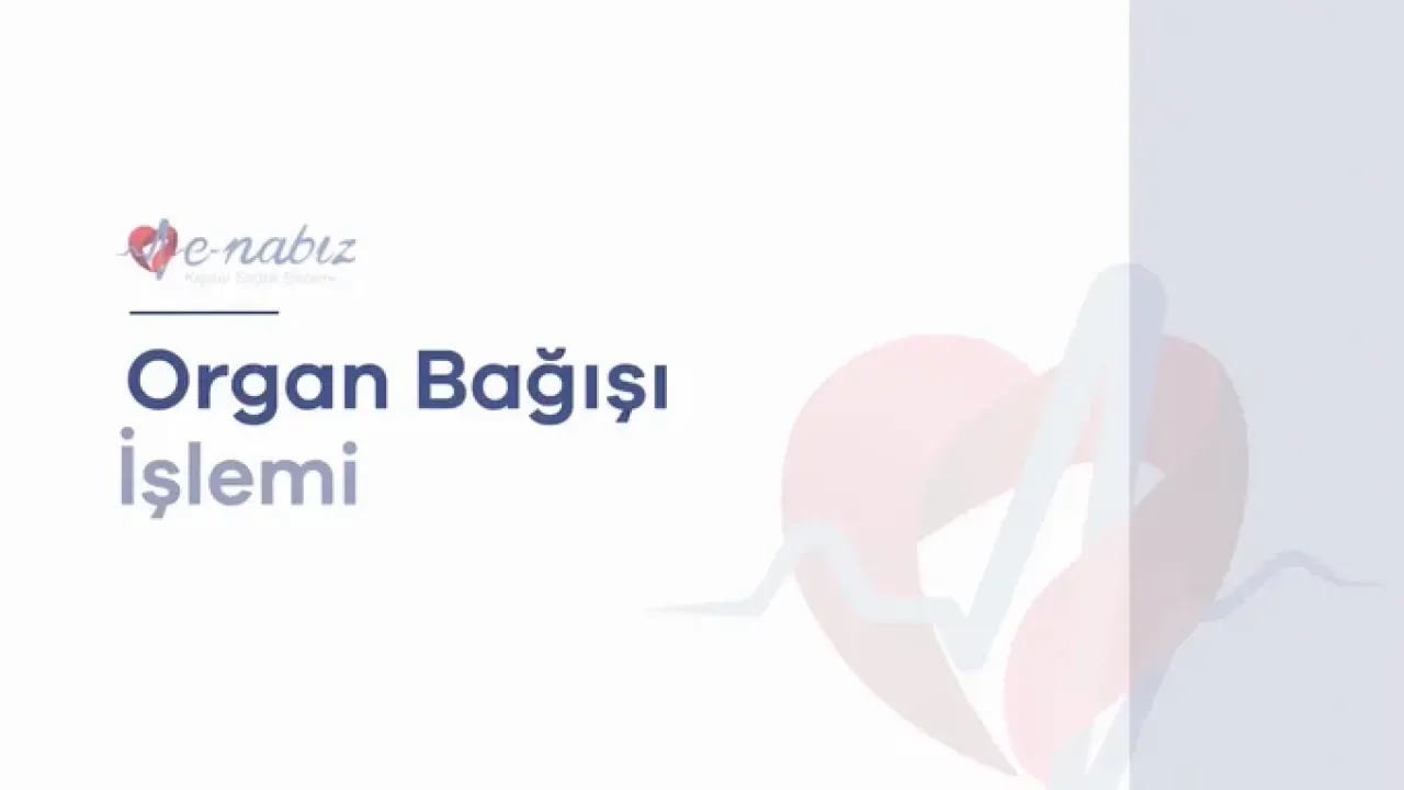 Kocaeli'de Organ Bağışı Artık e-Nabız Üzerinden: "Bağışlanan Her Organ Bir Candır" Kocaeli'de Organ Bağışı Artık e-Nabız Üzerinden: "Bağışlanan Her Organ Bir Candır"