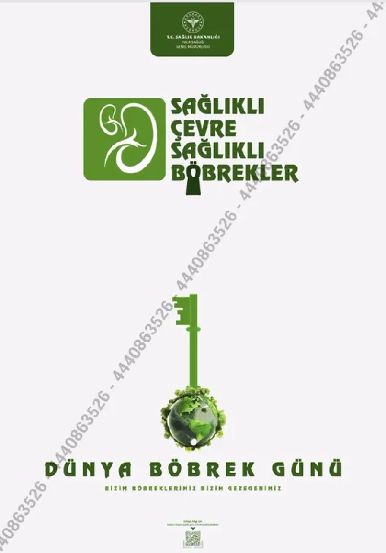 Bursa'da "Sağlıklı Çevre, Sağlıklı Böbrekler" Mesajı Verildi Bursa'da "Sağlıklı Çevre, Sağlıklı Böbrekler" Mesajı Verildi