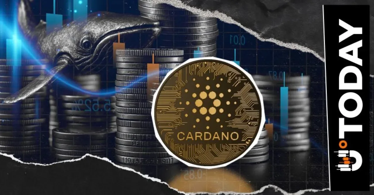 Cardano Balinaları Haftada 130 Milyon ADA Sattı: Fiyat Düşüşünün Arkasındaki Neden Ne? Cardano Balinaları Haftada 130 Milyon ADA Sattı: Fiyat Düşüşünün Arkasındaki Neden Ne?