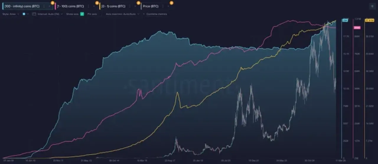 Bitcoin'de Büyük Balina Sayısı Rekor Kırdı: 100+ BTC'li Cüzdanlar 20 Bini Aştı Bitcoin'de Büyük Balina Sayısı Rekor Kırdı: 100+ BTC'li Cüzdanlar 20 Bini Aştı