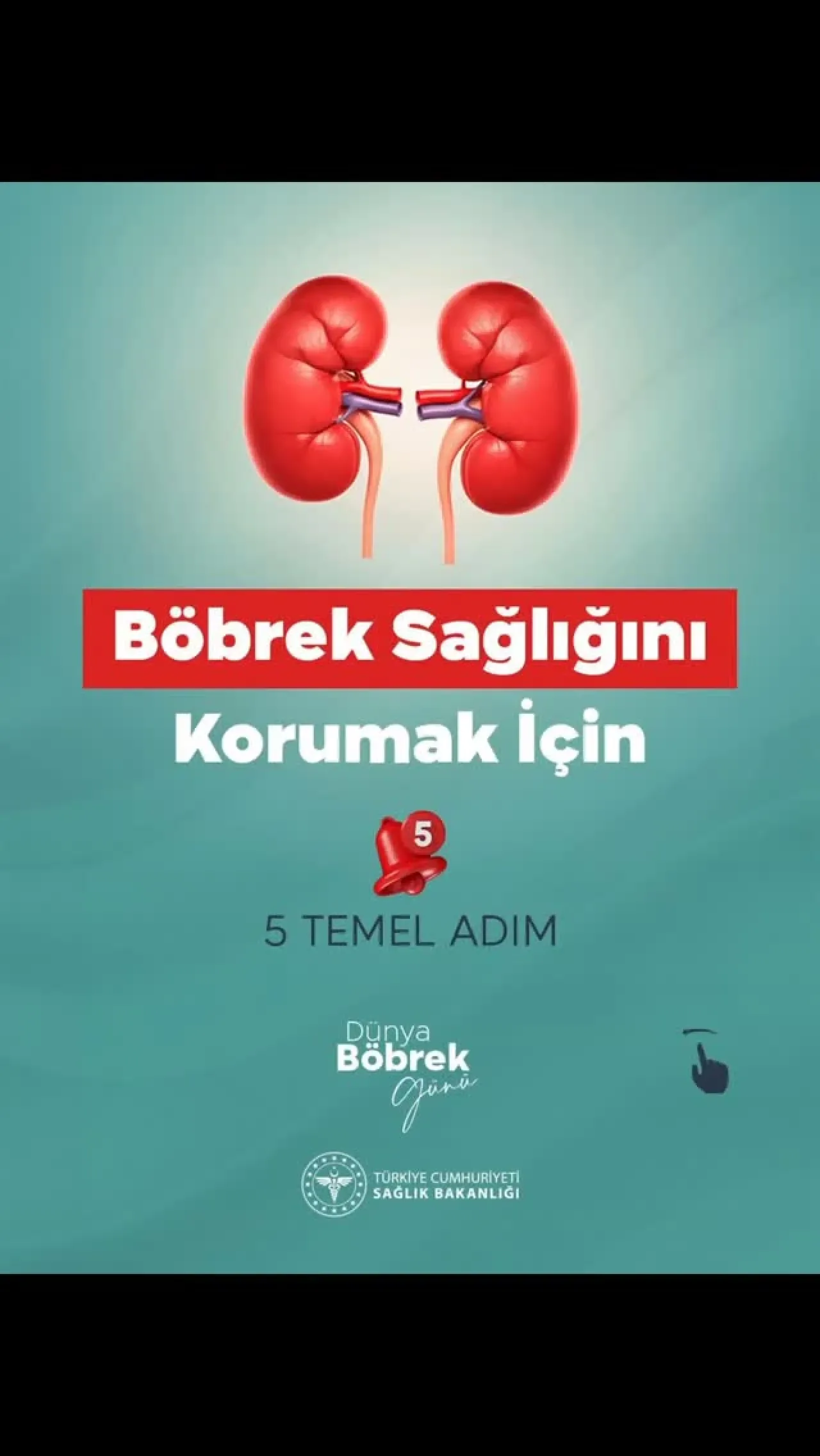 Böbrek Sağlığını Korumak İçin 5 Kritik Adım Böbrek Sağlığını Korumak İçin 5 Kritik Adım