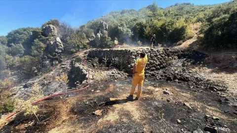 Kemalpaşa'da makilik yangını kontrol altına alındı: 1 helikopter, 5 aracla müdahale