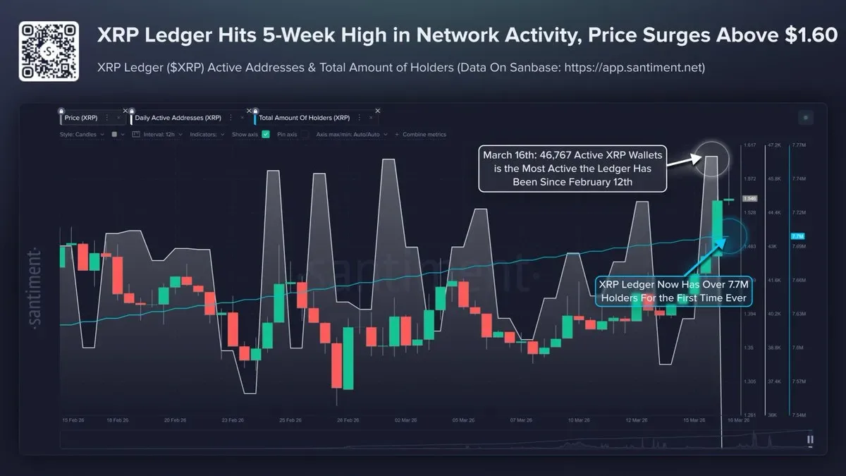 XRP Ledger'da Tarihi Rekor: Aktif Adresler ve Sahip Sayısı Artışı Fiyatı Nasıl Etkiledi? XRP Ledger'da Tarihi Rekor: Aktif Adresler ve Sahip Sayısı Artışı Fiyatı Nasıl Etkiledi?