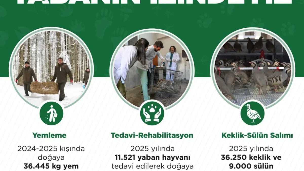 Adana Milletvekili Doğru: Yaban Hayatını Korumak Bir Sorumluluktur Adana Milletvekili Doğru: Yaban Hayatını Korumak Bir Sorumluluktur