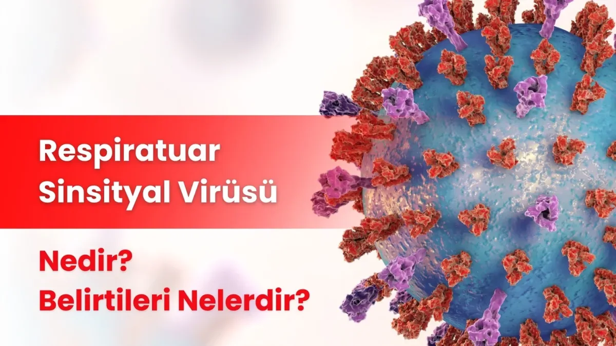 Respiratuar Sinsityal Virüsü (RSV) Nedir? Büyük Anadolu Hastanesi Darıca'dan Belirti ve Risk Grubu Uyarısı Respiratuar Sinsityal Virüsü (RSV) Nedir? Büyük Anadolu Hastanesi Darıca'dan Belirti ve Risk Grubu Uyarısı