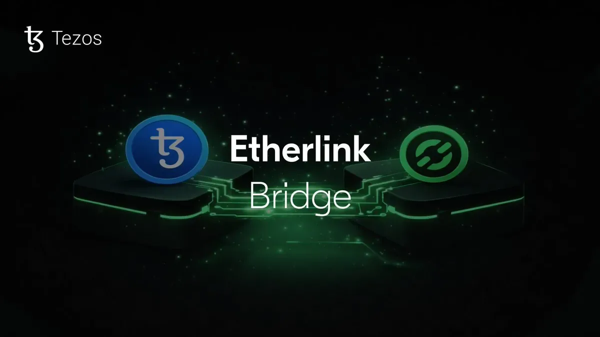 Tezos'un EVM Uyumlu Katmanı Etherlink'e Token Köprüsü Rehberi Tezos'un EVM Uyumlu Katmanı Etherlink'e Token Köprüsü Rehberi