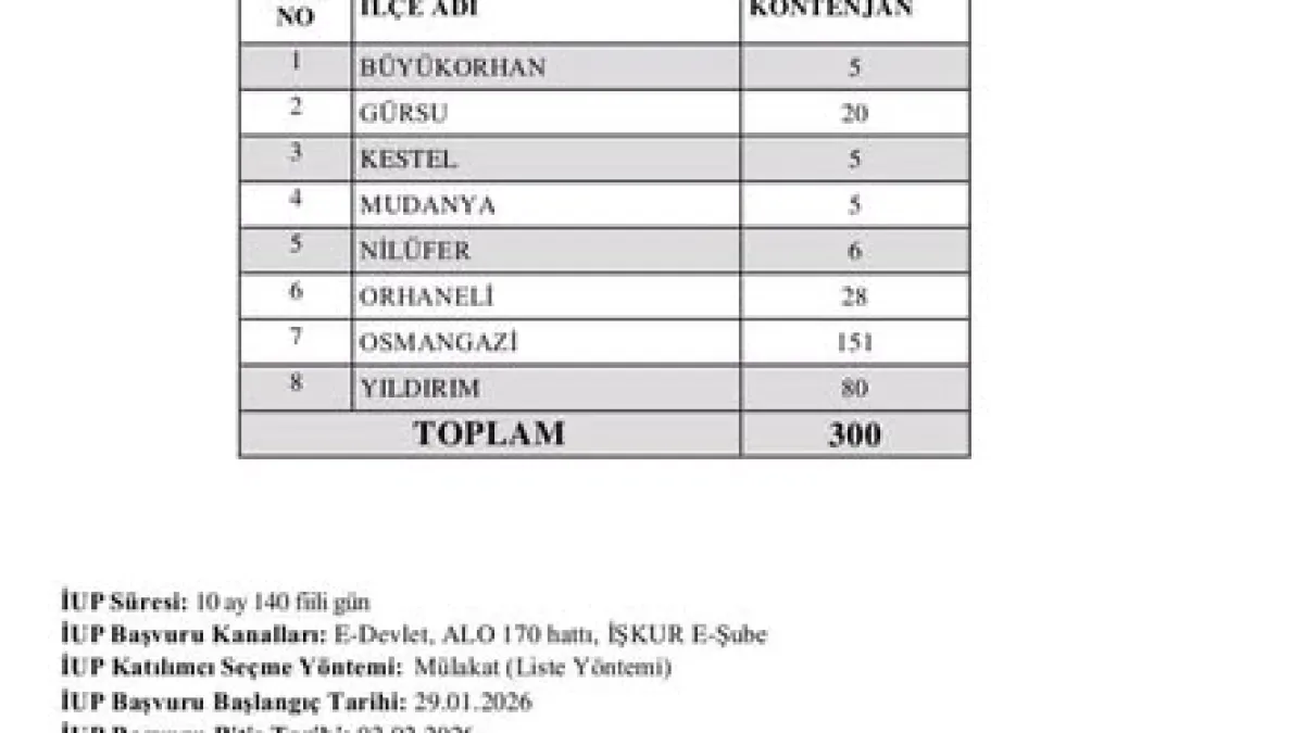 Bursa'dan Genç İstihdam Atağı: 800 Bin Gence Staj Fırsatı Bursa'dan Genç İstihdam Atağı: 800 Bin Gence Staj Fırsatı