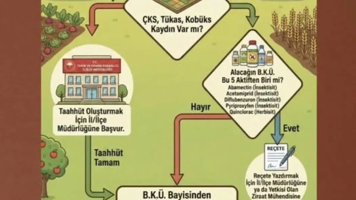 Bursa Gürsu'da Çiftçilere Mühim Uyarı: 1 Temmuz'da Neler Değişecek? Bursa Gürsu'da Çiftçilere Mühim Uyarı: 1 Temmuz'da Neler Değişecek?