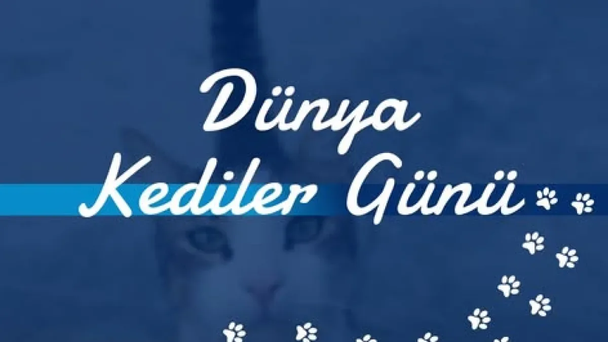 Beykent Üniversitesi'nden Öğrencilere: "Durarak İlerleme" Stratejisi Beykent Üniversitesi'nden Öğrencilere: "Durarak İlerleme" Stratejisi
