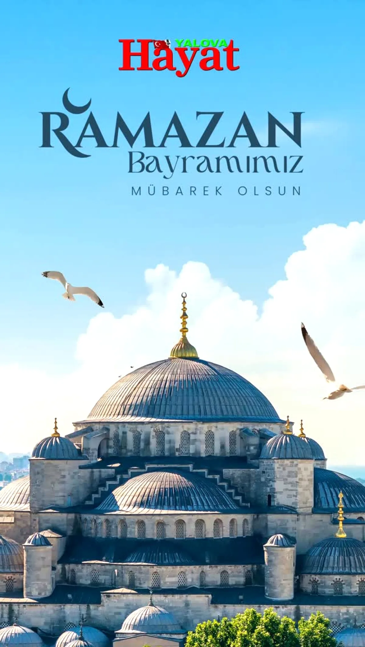 Yalova Hayat Gazetesi'nden Bayram Mesajı: Şeker Tadında Bir Kutlama Yalova Hayat Gazetesi'nden Bayram Mesajı: Şeker Tadında Bir Kutlama