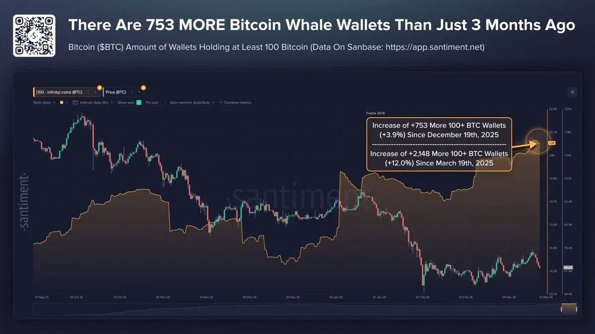 Bitcoin Balinaları Fiyatlar Düşerken Portföylerini Genişletti Bitcoin Balinaları Fiyatlar Düşerken Portföylerini Genişletti