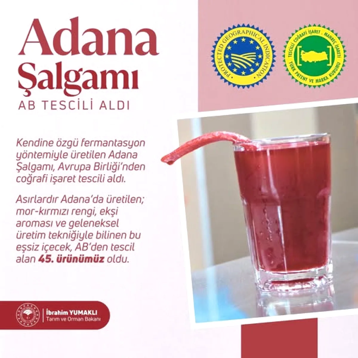 Adana'da Ayçiçeği Ekim Sezonu Başladı: İl Müdürü Bayazıt, Sarıçam'da Üreticilerle Tohumu Toprakla Buluşturdu Adana'da Ayçiçeği Ekim Sezonu Başladı: İl Müdürü Bayazıt, Sarıçam'da Üreticilerle Tohumu Toprakla Buluşturdu