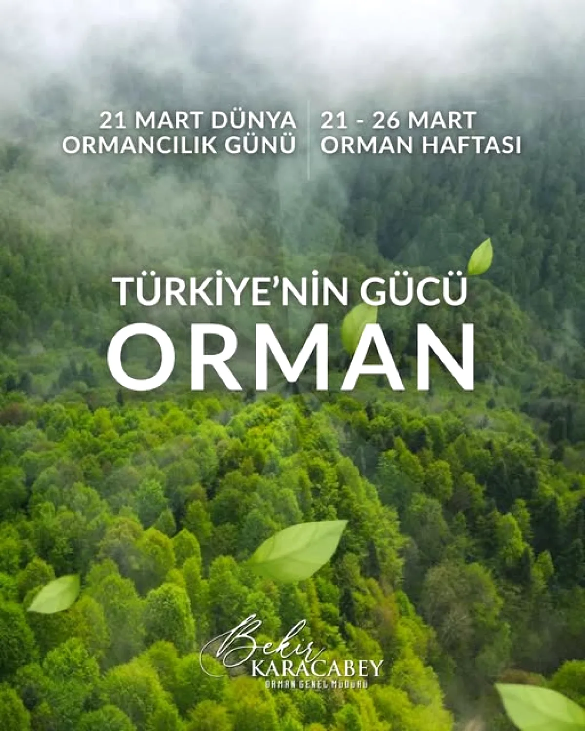 Antalya Orman Bölge Müdürlüğü'nden Sessiz ve Güçlü Bir Söz Antalya Orman Bölge Müdürlüğü'nden Sessiz ve Güçlü Bir Söz