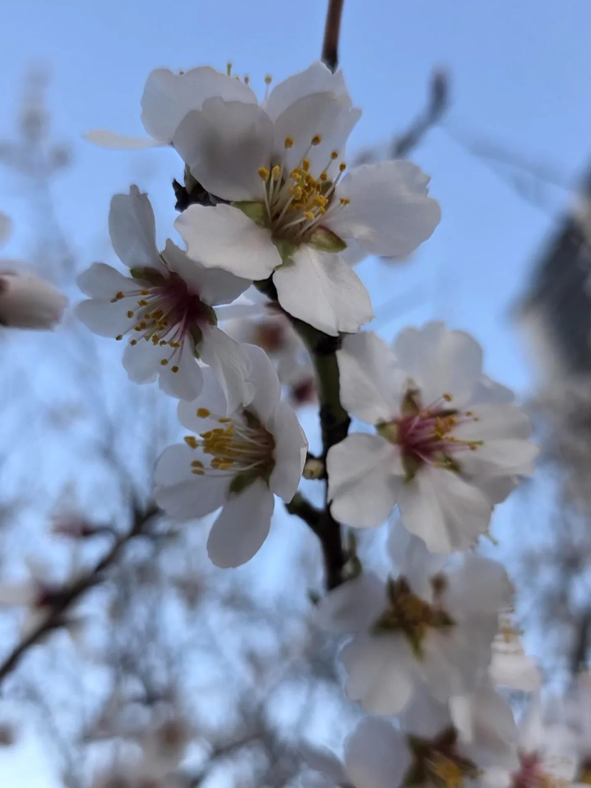 Gaziantep Milletvekili Ertuğrul Kaya'dan Nevruz Mesajı Gaziantep Milletvekili Ertuğrul Kaya'dan Nevruz Mesajı