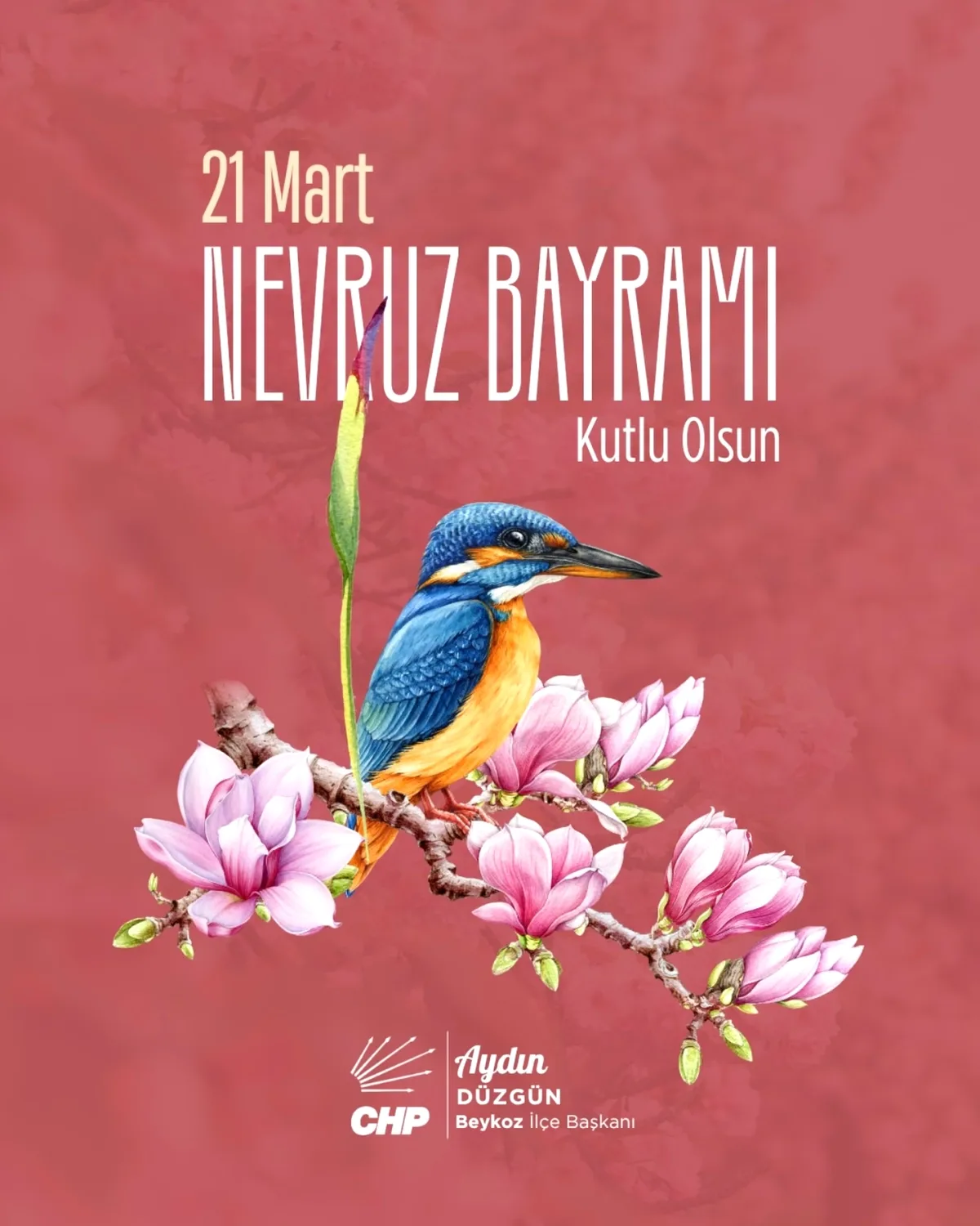 CHP Beykoz'dan Nevruz Mesajında Barış ve Bereket Temennisi CHP Beykoz'dan Nevruz Mesajında Barış ve Bereket Temennisi