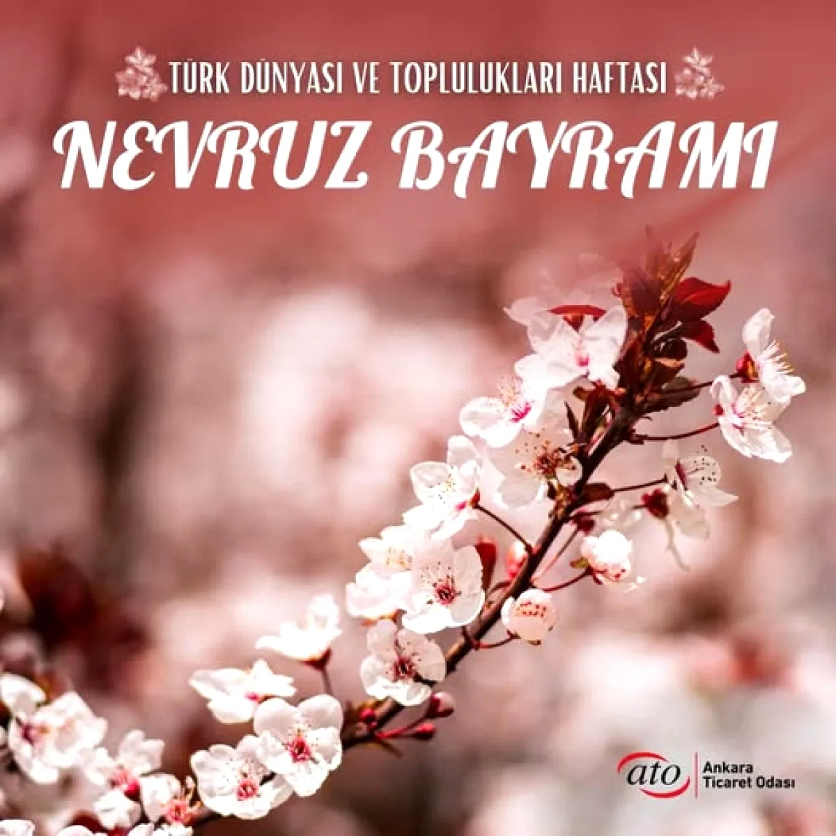 Kurumdan Kadim Gelenek ve Birlik Haftası İçin Mesaj Kurumdan Kadim Gelenek ve Birlik Haftası İçin Mesaj