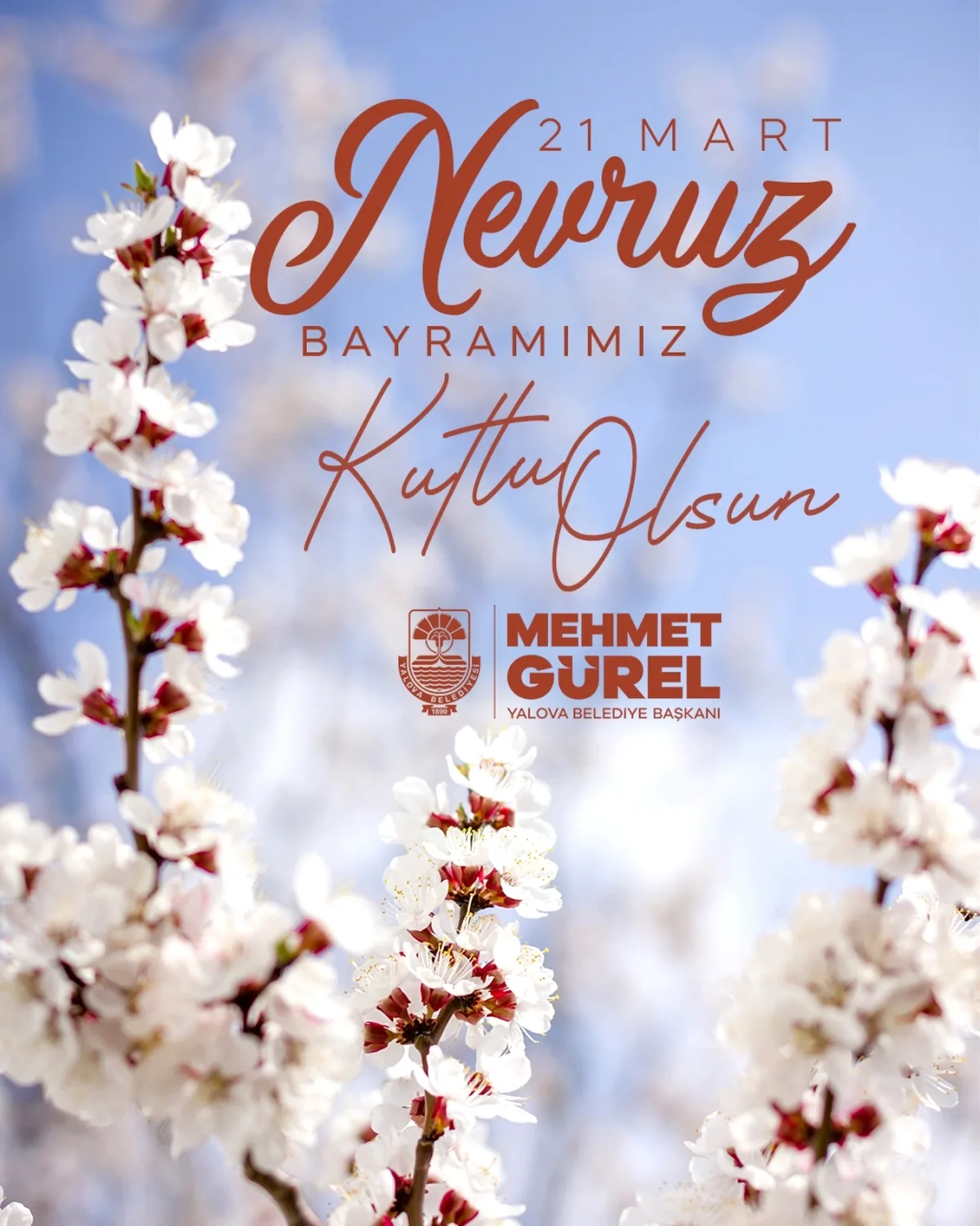 Baharın Müjdecisi ve Bir Sembolün Mesajı Baharın Müjdecisi ve Bir Sembolün Mesajı