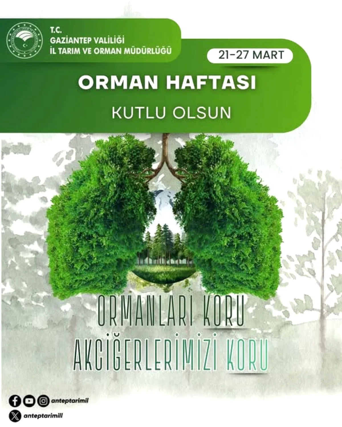 Gaziantep'ten Ormanlar İçin Anlamlı Mesaj Gaziantep'ten Ormanlar İçin Anlamlı Mesaj