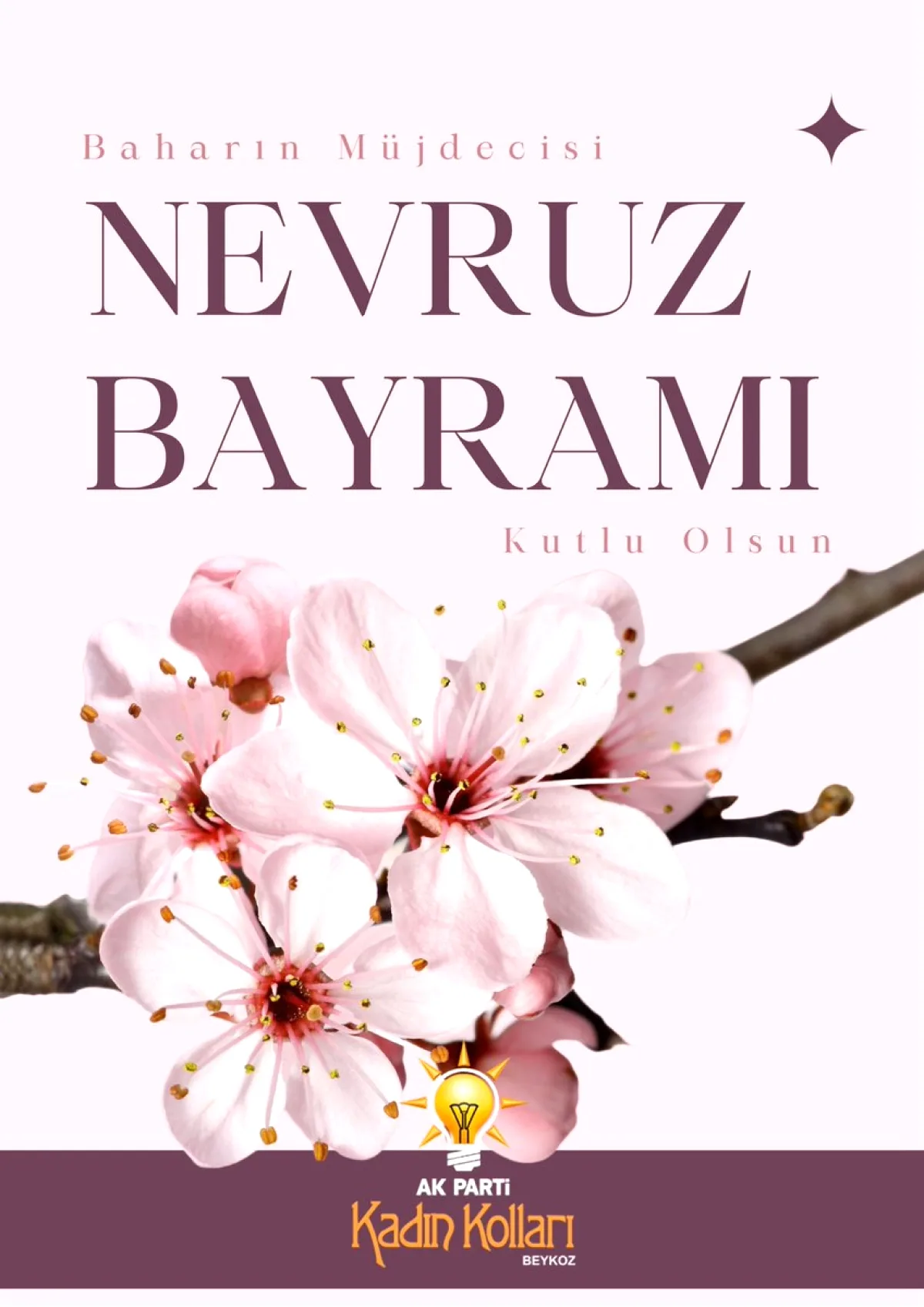 AK Parti Kadın Kolları'ndan Nevruz Mesajı AK Parti Kadın Kolları'ndan Nevruz Mesajı