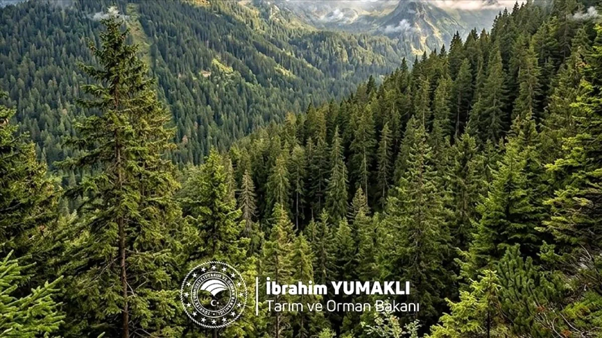 Bakan Yumaklı'nın Ormanlar İçin Büyük Taahhüdü Bakan Yumaklı'nın Ormanlar İçin Büyük Taahhüdü