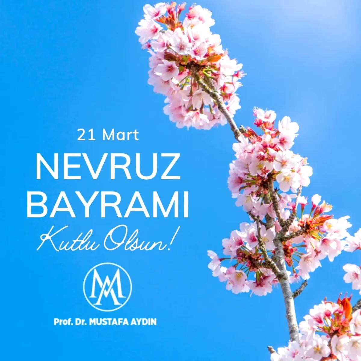 Prof. Dr. Mustafa Aydın'dan Nevruz Mesajı: Bir Simgeye Dikkat Çekti Prof. Dr. Mustafa Aydın'dan Nevruz Mesajı: Bir Simgeye Dikkat Çekti